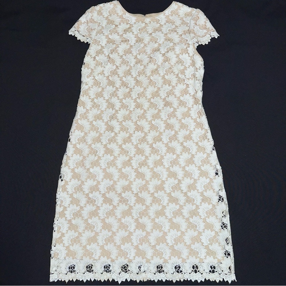 Suzi Chin for Maggy Boutique‎ Women's Cream Lace cocktail Dress size 8